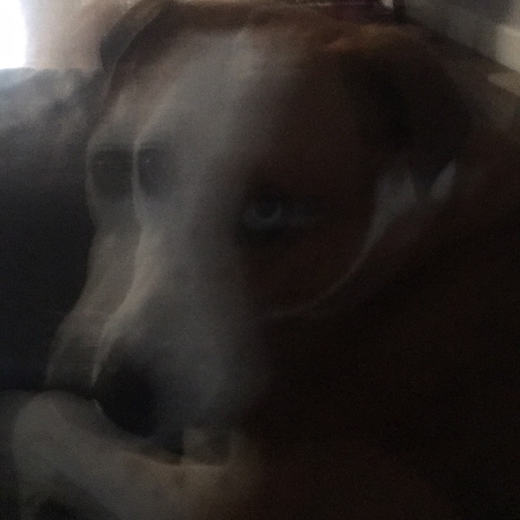 Meet your Posher, Chrisitne - Picture 1 of 1